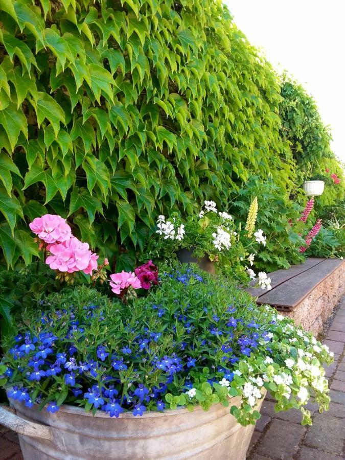 마그데부르크 Kleines Zuhause 아파트 외부 사진